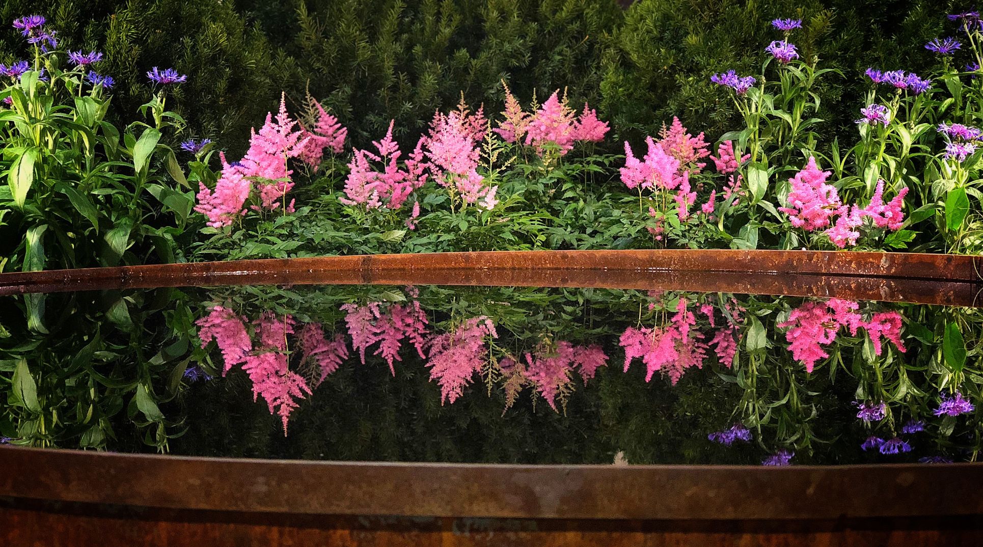 flower show reflection.jpg